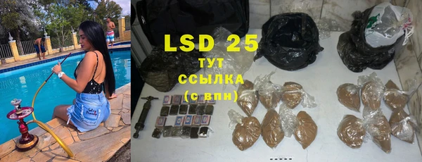 ПСИЛОЦИБИНОВЫЕ ГРИБЫ Абаза