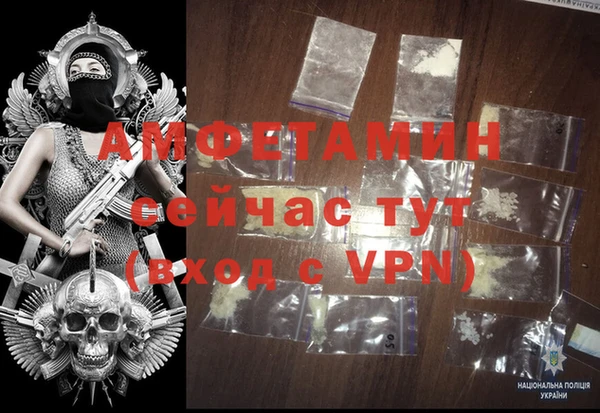 ПСИЛОЦИБИНОВЫЕ ГРИБЫ Абаза