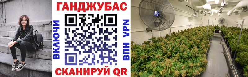 Конопля план  Константиновск 